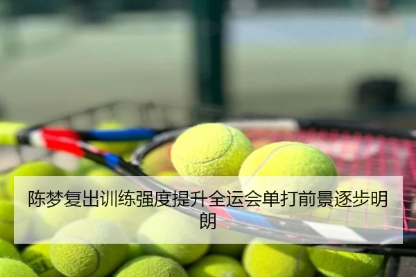 陈梦复出训练强度提升全运会单打前景逐步明朗