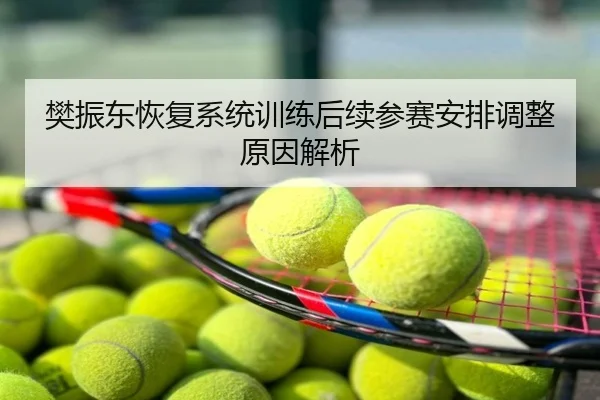 樊振东恢复系统训练后续参赛安排调整原因解析