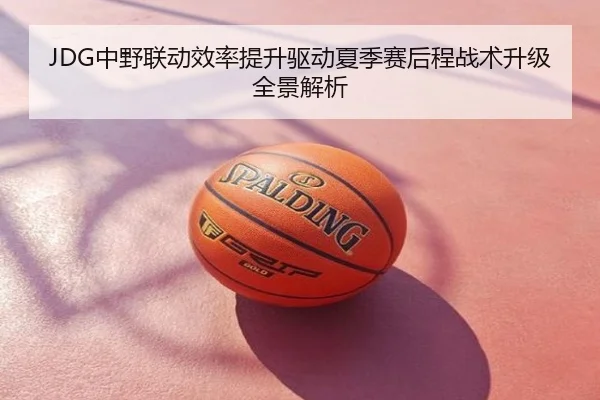 JDG中野联动效率提升驱动夏季赛后程战术升级全景解析