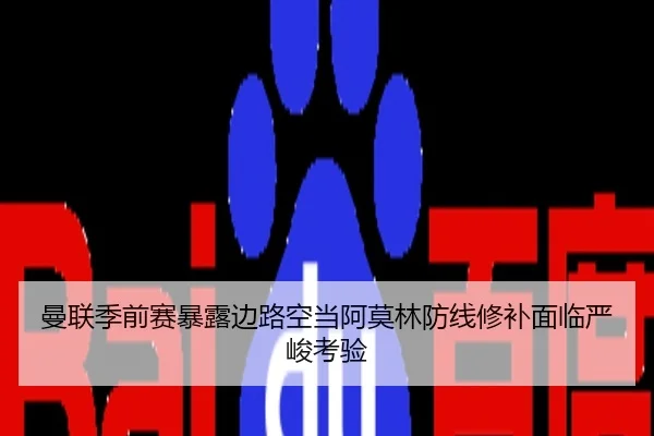 曼联季前赛暴露边路空当阿莫林防线修补面临严峻考验